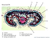 05_Erica x100_labels.jpg